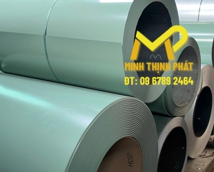 TOEL MẠ MÀU 
